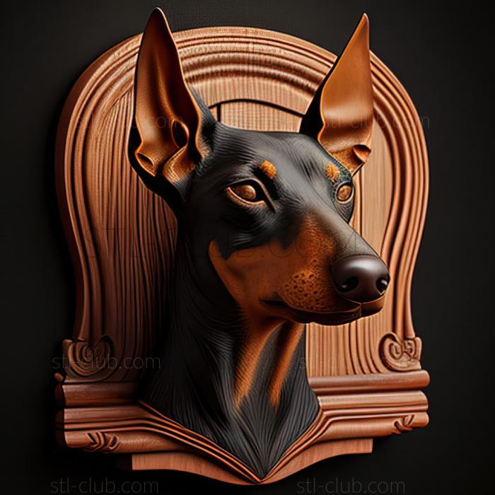 st Manchester Terrier dog